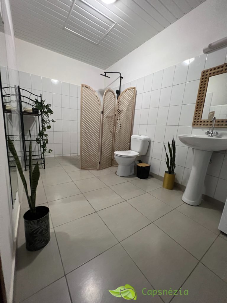 capsnezia-kasentof-location-appartement-meuble-cayenne-guyanesdb-1